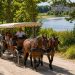 Pourquoi choisir de partir en week-end romantique à Fontainebleau en France ?