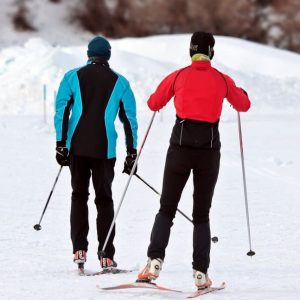 Ski Alpes ou Pyrénées