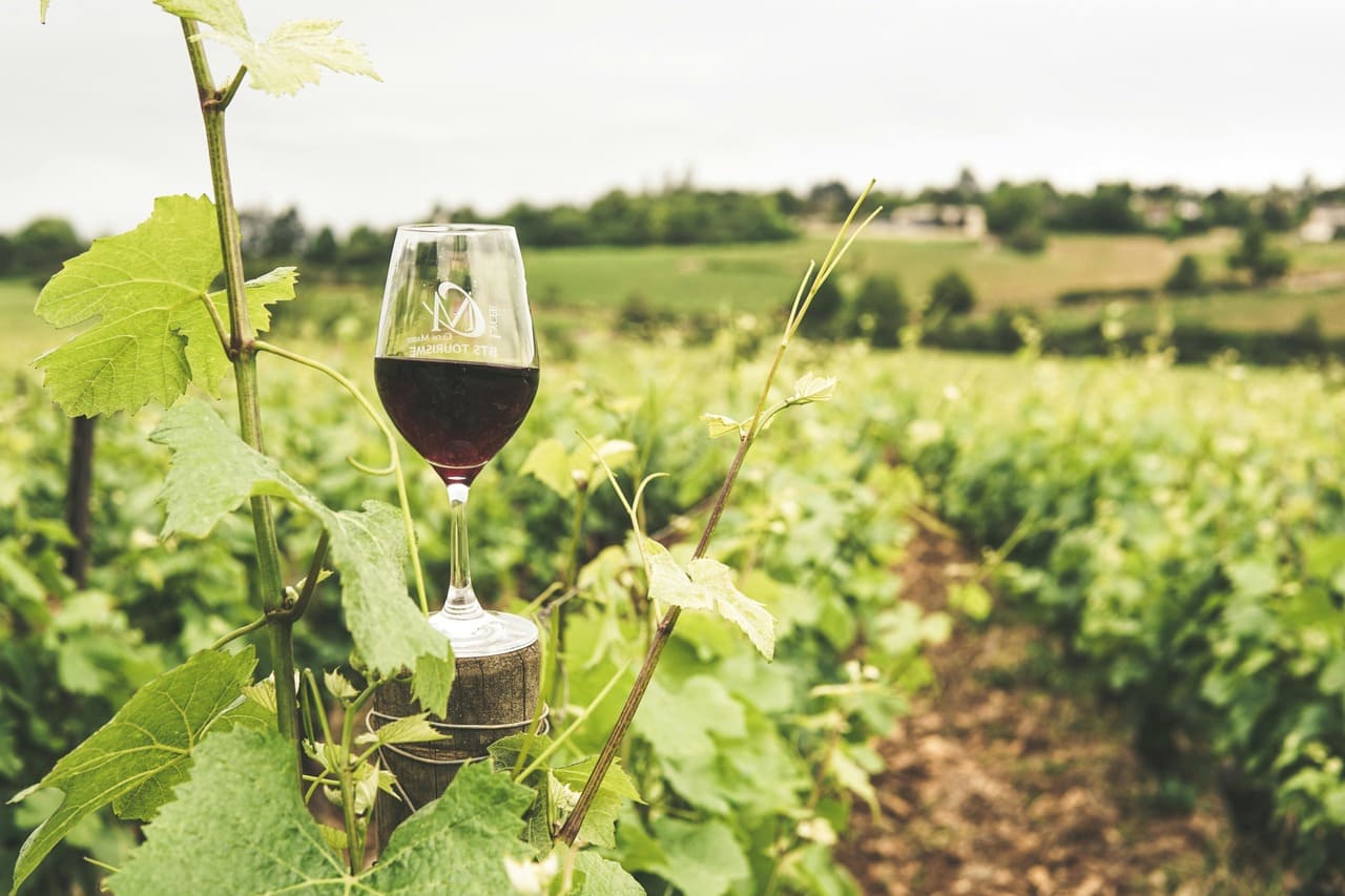 Bourgogne voyage au cœur des vignobles