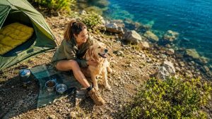 Vacances avec chien en France cet été : les destinations phares